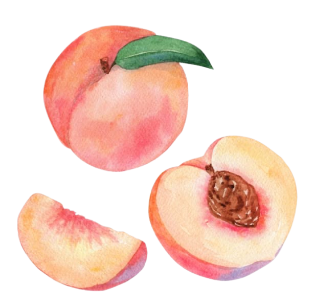 The Three Peach Layers